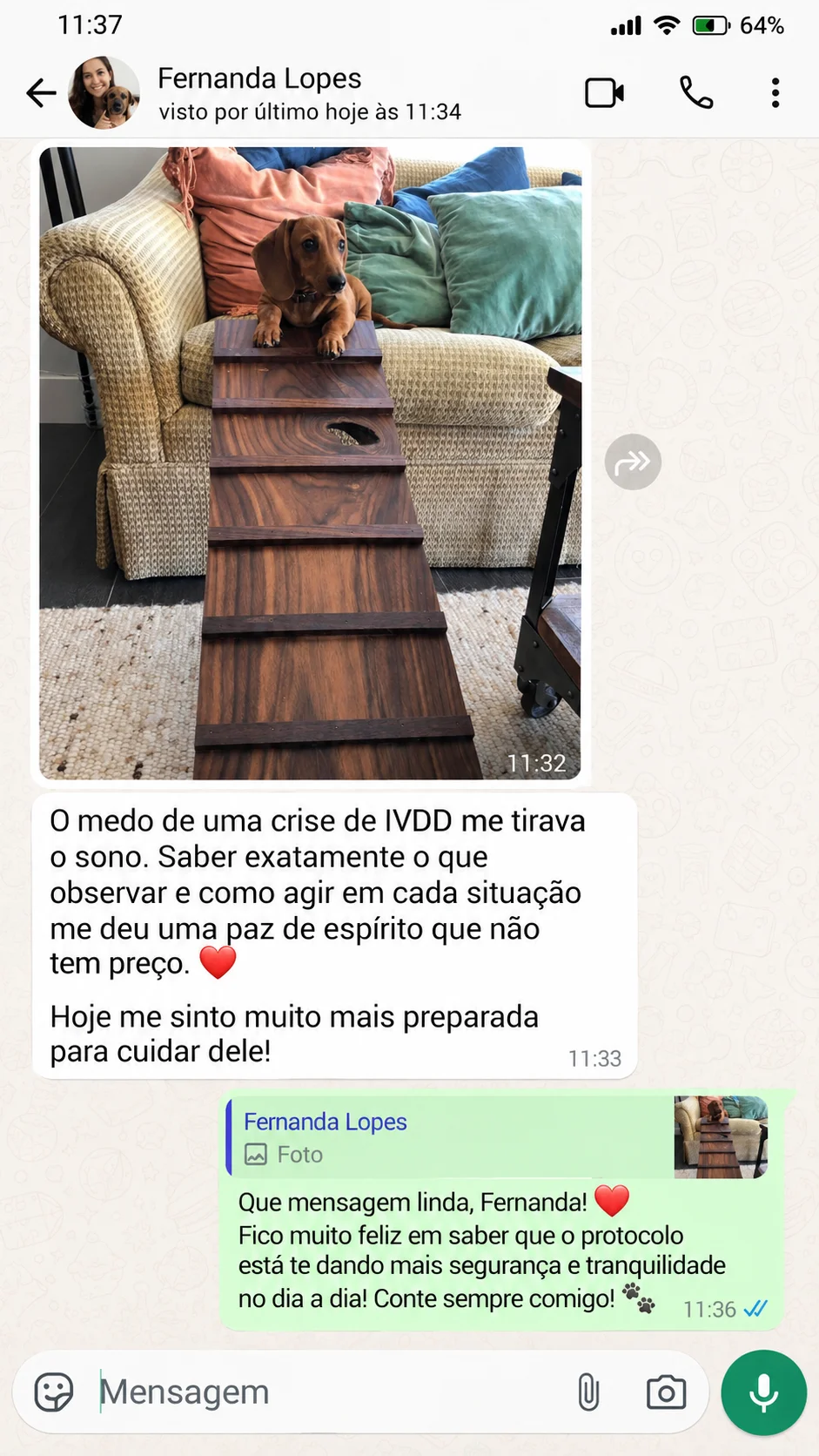 Depoimento 2 de tutor de Dachshund