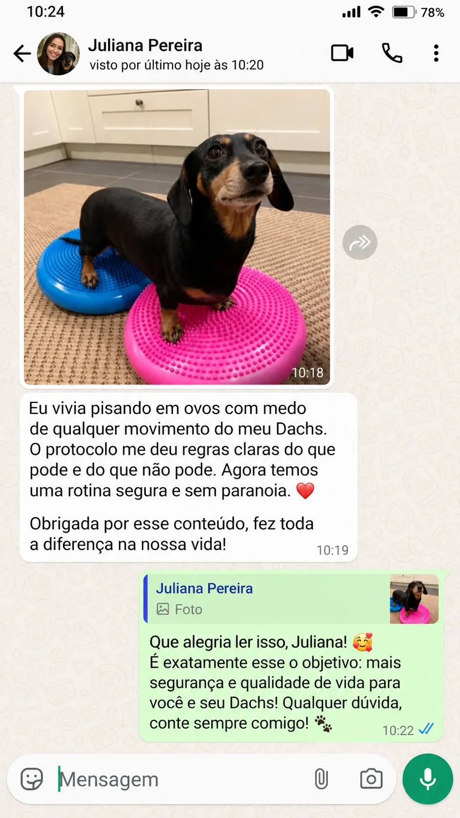 Depoimento 4 de tutor de Dachshund
