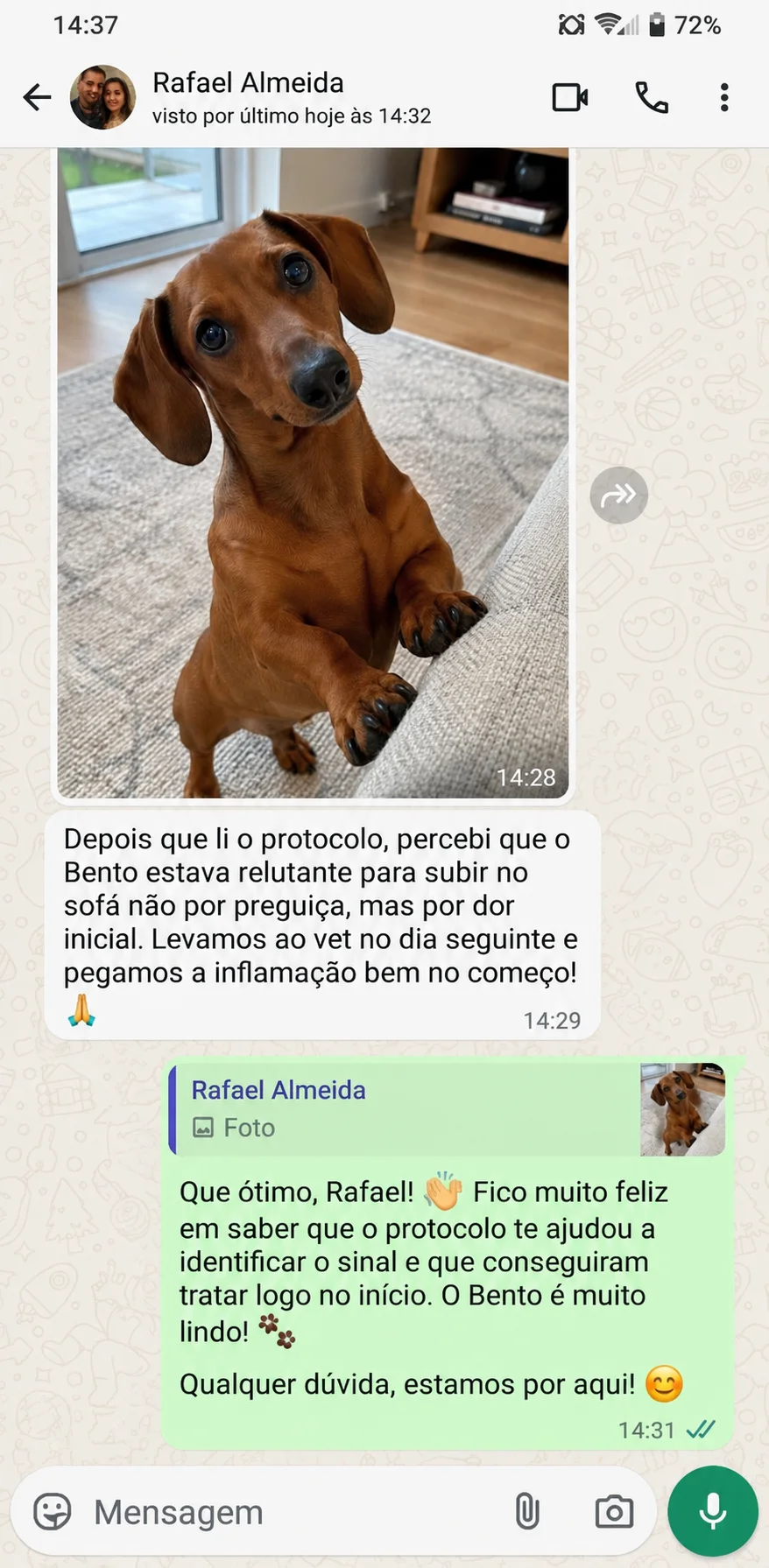 Depoimento 5 de tutor de Dachshund