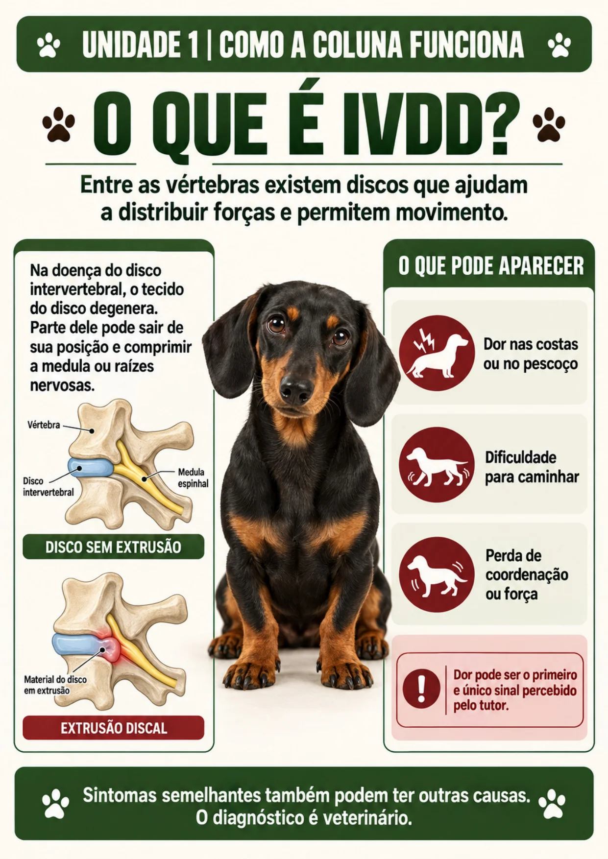 Prévia da página 1 do protocolo